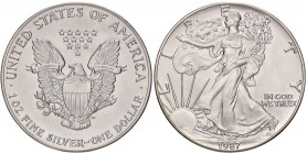 ESTERE - U.S.A. - Dollaro 1987 - American Eagle Kr. 273 AG
FDC