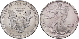 ESTERE - U.S.A. - Dollaro 1992 - American Eagle Kr. 273 AG
FDC