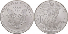 ESTERE - U.S.A. - Dollaro 2001 - American Eagle Kr. 273 AG
FDC