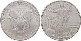 ESTERE - U.S.A. - Dollaro 2004 - American Eagle Kr. 273 AG
FDC