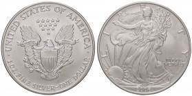 ESTERE - U.S.A. - Dollaro 2006 - American Eagle Kr. 273 AG
FDC