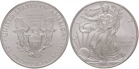 ESTERE - U.S.A. - Dollaro 2008 - American Eagle Kr. 273 AG
FDC