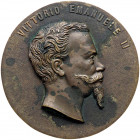 MEDAGLIE - SAVOIA - Vittorio Emanuele II (1849-1861) - Placchetta uniface AE Ø 110
qSPL