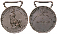 MEDAGLIE - SAVOIA - Umberto I (1878-1900) - Medaglia 1884 - XXV Anniversario del risorgimento AE Opus: L. Giorgi Ø 32
qFDC