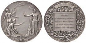 MEDAGLIE - SAVOIA - Vittorio Emanuele III (1900-1943) - Medaglia 1859-1909 - Cinquantenario della battaglia di San Martino AG Ø 37 Colpetti
SPL

Co...