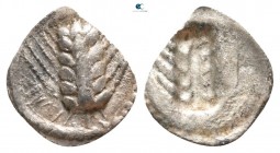 Lucania. Metapontion circa 530-510 BC. Hemiobol AR