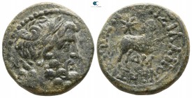 Seleucis and Pieria. Antioch AD 11-17. Bronze Æ