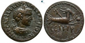 Mysia. Parion. Severus Alexander AD 222-235. Bronze Æ