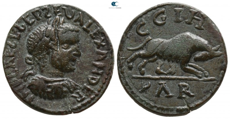 Mysia. Parion. Severus Alexander AD 222-235.
Bronze Æ

21mm., 5,79g.

IMP C...
