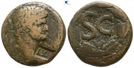 Seleucis and Pieria. Antioch. Domitian AD 81-96. As Æ