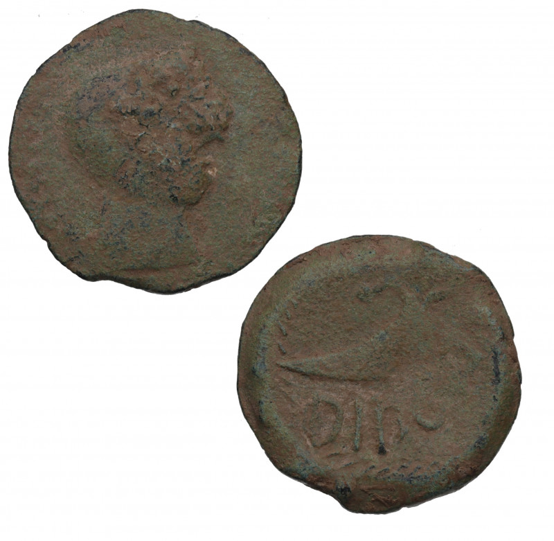 s. I aC. Elvas (Portugal). As de Dipo. Ae. 15,85 g. RARA. BC. Est.450.