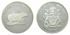 MALAWI. 2005. 10 Kwacha. (KM#83). Pigmy hippo.
sc