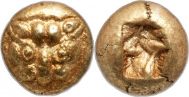 IONIA. Uncertain mint. Ca. 600-550 BC. EL 1/12 stater or hemihecte (7mm, 1.20 gm). NGC AU S 5/5 - 5/5. Head of lioness or panther facing / Incuse squa...