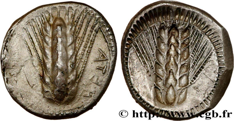 LUCANIA - METAPONTUM
Type : Nomos, statère ou tridrachme 
Date : c. 510-470 AC. ...