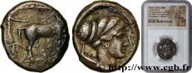 SICILY - SYRACUSE
Type : Tétradrachme 
Date : c. 430-420 AC. 
Mint name / Town : Syracuse 
Metal : silver 
Diameter : 25  mm
Orientation dies : 7  h.
...
