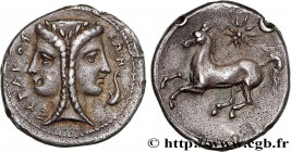 SICILY - SYRACUSE
Type : Dilitra 
Date : c. 343-317 AC. 
Mint name / Town : Syracuse, Sicile 
Metal : silver 
Diameter : 14  mm
Orientation dies : 10 ...