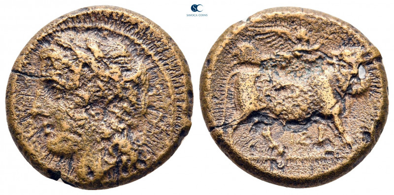 Campania. Neapolis circa 270-240 BC. 
Bronze Æ

19 mm, 5,57 g



fine