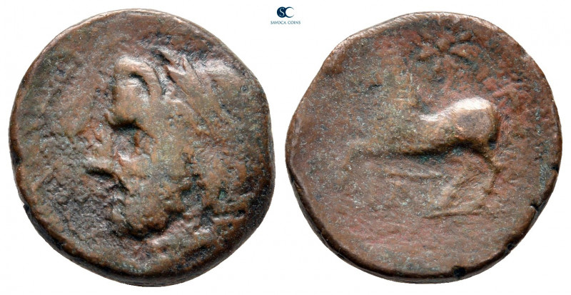 Apulia. Arpi circa 325-275 BC. 
Bronze Æ

17 mm, 3,87 g



fine