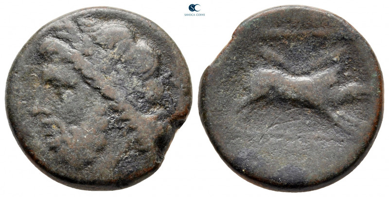 Apulia. Arpi circa 325-275 BC. 
Bronze Æ

21 mm, 7,55 g



nearly very fi...