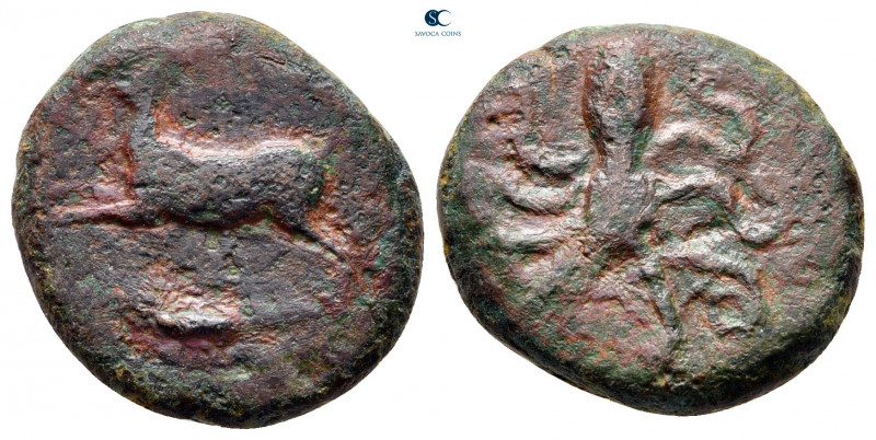 Sicily. Messana circa 406-396 BC. 
Tetras Æ

19 mm, 6,47 g



fine