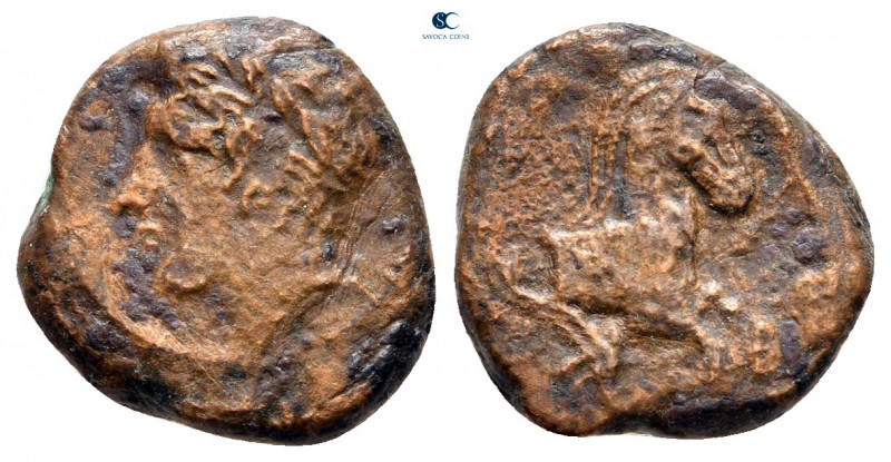 Sicily. Panormos circa 336-330 BC. 
Bronze Æ

14 mm, 2,35 g



nearly ver...