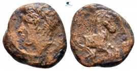 Sicily. Panormos circa 336-330 BC. Bronze Æ