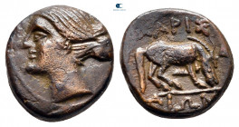 Thessaly. Larissa circa 400-300 BC. Bronze Æ