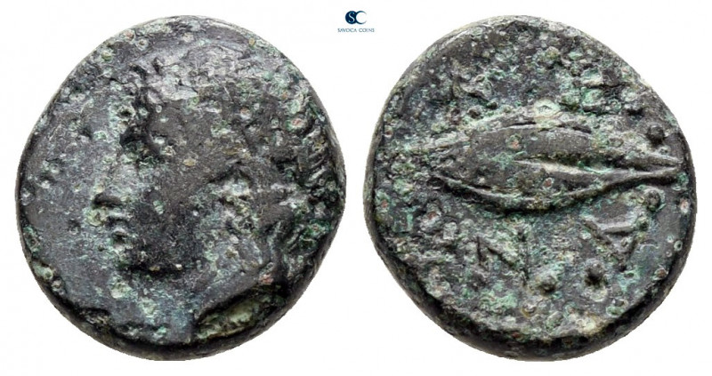 Troas. Neandria circa 400-300 BC. 
Bronze Æ

11 mm, 1,41 g



nearly very...