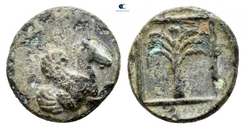 Troas. Skepsis circa 400-310 BC. 
Bronze Æ

9 mm, 0,56 g



nearly very f...