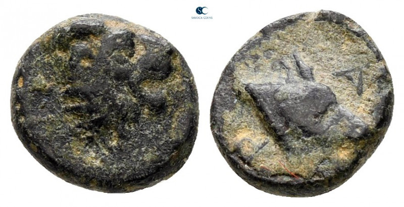 Lesbos. Mytilene circa 350-300 BC. 
Bronze Æ

9 mm, 0,78 g



very fine