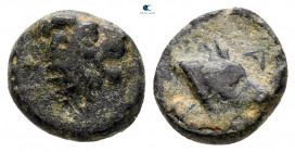 Lesbos. Mytilene circa 350-300 BC. Bronze Æ