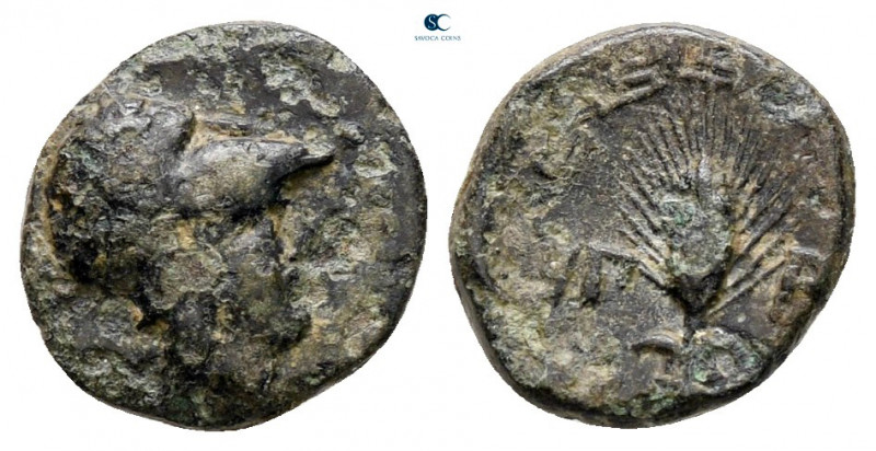 Ionia. Priene circa 400-200 BC. 
Bronze Æ

10 mm, 0,86 g



nearly very f...