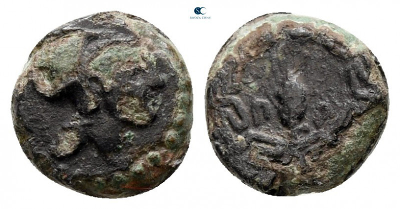 Ionia. Priene circa 350-340 BC. 
Bronze Æ

8 mm, 0,66 g



very fine