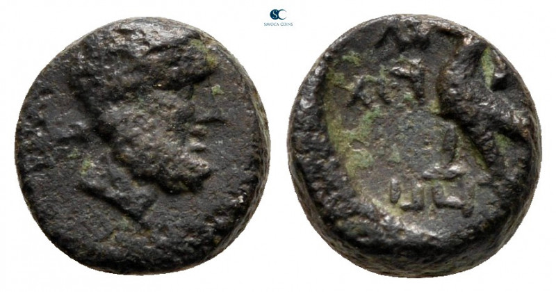 Caria. Antiocheia ad Maeander circa 300-200 BC. 
Bronze Æ

9 mm, 1,33 g


...