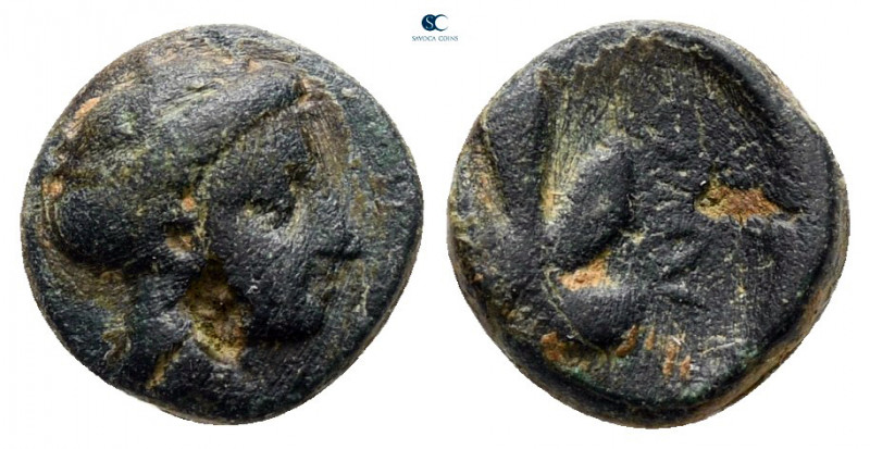Caria. Idyma circa 350-300 BC. 
Bronze Æ

9 mm, 0,79 g



nearly very fin...