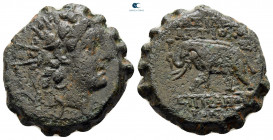 Seleukid Kingdom. Antioch. Antiochos VI Dionysos 144-142 BC. Serrate Æ