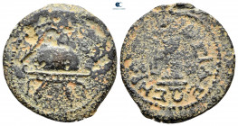 Judaea. Samaria mint. Herodians. Agrippa I AD 37-43. 4 Prutot Æ