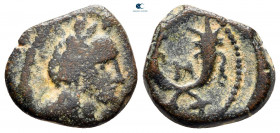 Nabataean Kingdom. Petra. Aretas IV 9 BC-AD 40. Bronze Æ