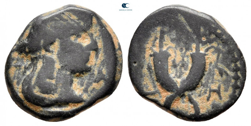 Nabataean Kingdom. Petra. Syllaios 9 BC-AD 40. 
Bronze Æ

14 mm, 2,12 g


...