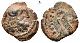 Ptolemaic Kingdom of Egypt. Kyrene mint. Kleopatra III and Ptolemy IX Soter II (Lathyros) 116-107 BC. Chalkous Æ