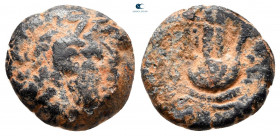 Ptolemaic Kingdom of Egypt. Kyrene mint. Ptolemy Apion, King of Kyrenaika 104-96 BC. Chalkous Æ
