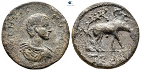 Troas. Alexandreia. Maximus AD 236-238. Bronze Æ