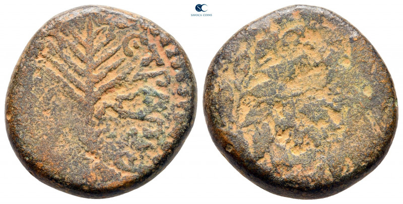 Judaea. Tiberias. Claudius AD 41-54. 
Bronze Æ

22 mm, 11,20 g



fine
...