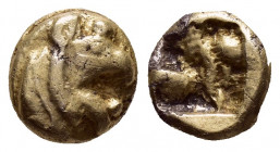 IONIA.Phokaia.(Circa 580 BC).EL 1/48 Stater.

Obv : Head of griffin right.

Rev : Quadripartite incuse square. 

Condition : Good very fine.

Weight :...