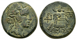 PONTOS. Amisos. Time of Mithradates VI.(Circa 85-65 BC). Ae.

Obv : Head of Mithradates VI TO right, wearing ivy wreath.

Rev : ΑΜΙΣΟΥ.
Panther skin a...