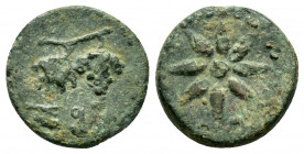 CILICIA.Soloi-Pompeiopolis.(Circa 66-27 BC).Ae.

Obv : Two grape clusters on stalk. 

Rev : Π-O-M-Π-H-I.
Six-pointed star.
SNG Levante 885. SNG Paris ...
