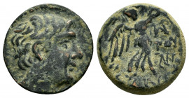 CILICIA. Soloi-Pompeiopolis.(Circa 66-27 BC).Ae. 

Obv : Bare head (of Pompey the Great to right. 

Rev : ΠΟΜΠΗΙΟΠΟΛΕΙΤΩΝ.
Nike advancing right, holdi...