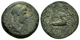 KINGS of COMMAGENE.Antiochos IV.(38-40 and 41-72).Samosata.Ae.

Obv : BΑΣΙ ΜΕΓAΣ ΑΝΤΙΟΧΟΣ ΕΠΙ.
Diademed and draped bust right.

Rev : ΚΟΜΜΑΓΗΝΩΝ.
Capr...