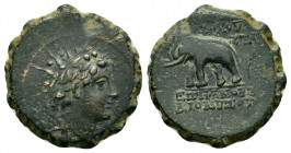 SELEUKID KINGDOM. Antiochos VI Dionysos.(144-142 BC). Ae.

Obv : Diademed and radiate head right.

Rev : BAΣIΛEΩΣ ANTIOXOY EΠIΦANOVΣ ΔIONYΣOY.
Elephan...
