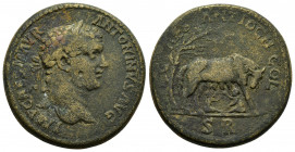 PISIDIA.Antioch.Caracalla.(197-217).Ae.

Obv : IMP CAES M AVR ANTONINVS AVG.
Laureate head to right.

Rev : COL CAES ANTIOCH SR.
She wolf suckling the...